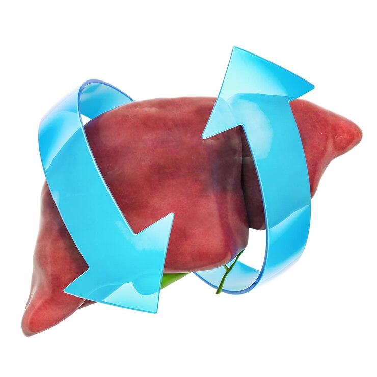 liver health