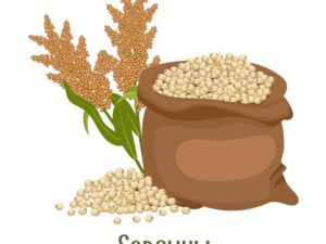 Sorghum Flour (Jowar Flour) (5KG)