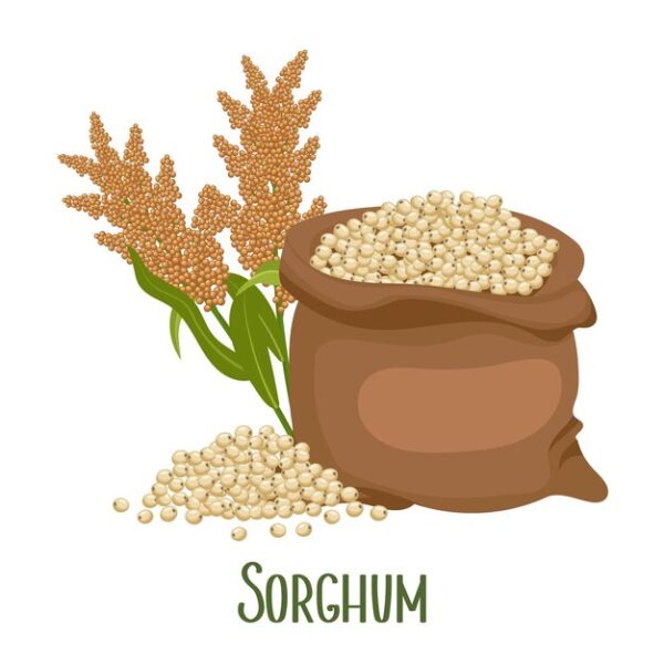 Sorghum Flour (Jowar Flour) (5KG)